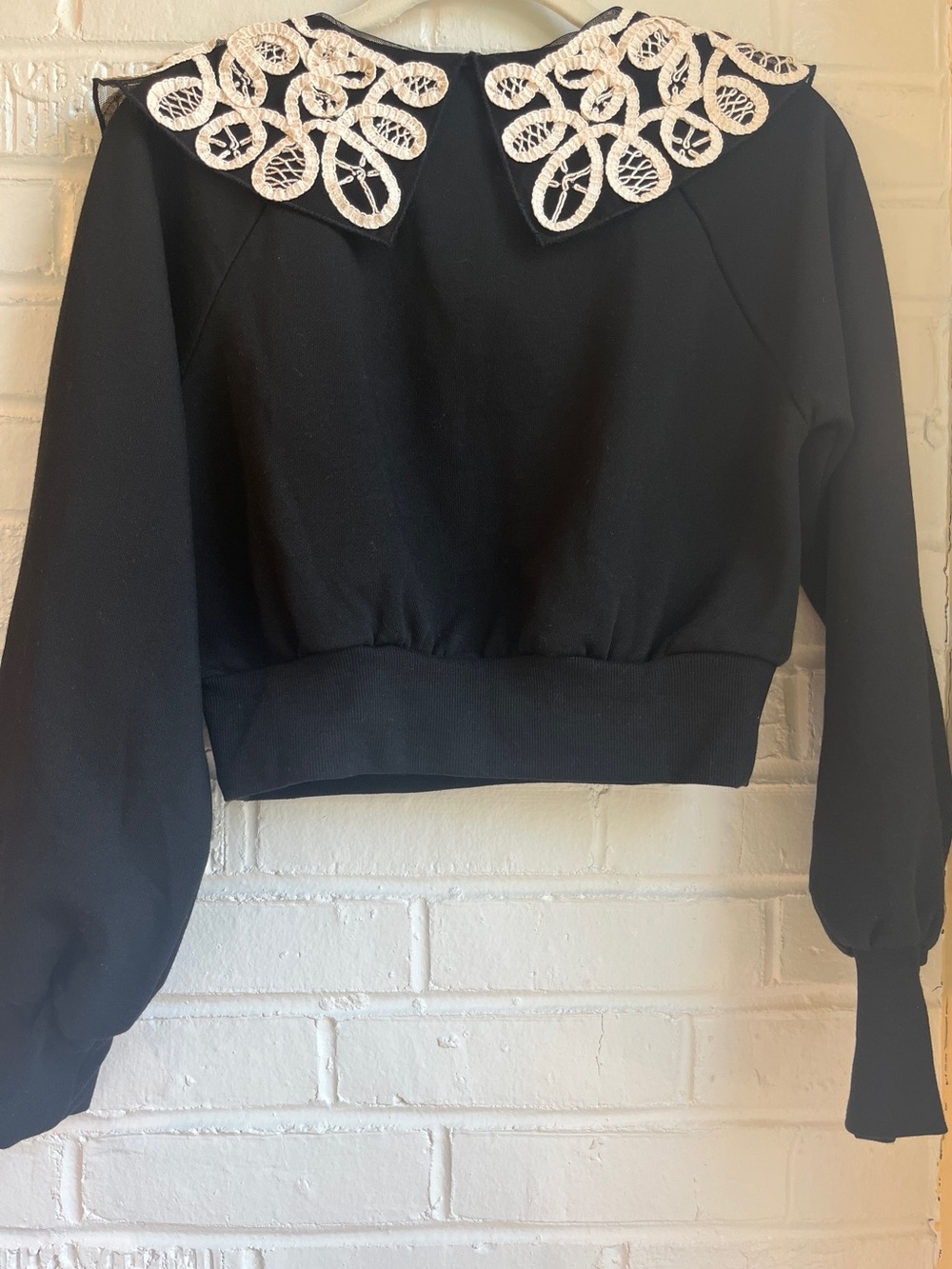 Miss Selfridge Adorable Black Cropped Sweatshirt with Cream Lace Collar - Picture 9 of 11